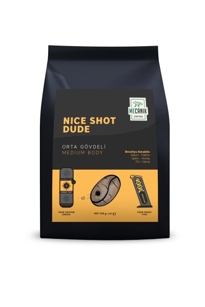 MECANIK COFFEE NICE SHOT DUDE (BREZILYA) 250g